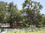 Pathway Men's Center, La Marque, Texas. 3