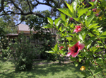 Pathway Men's Center, La Marque, Texas. 13